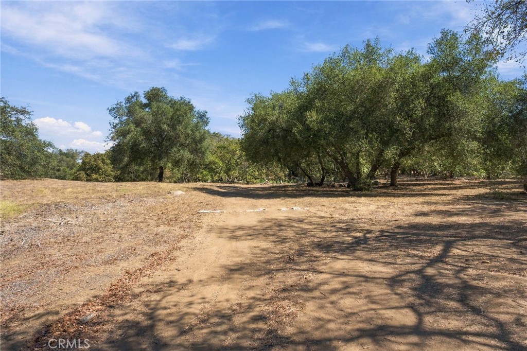 69 Via Vaquero Property Photo 35