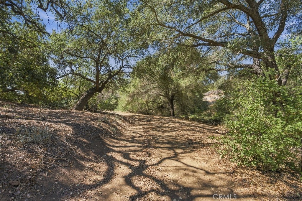 69 Via Vaquero Property Photo 36