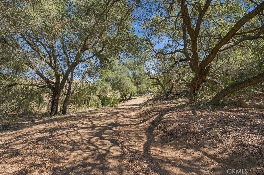 69 Via Vaquero Property Photo 37