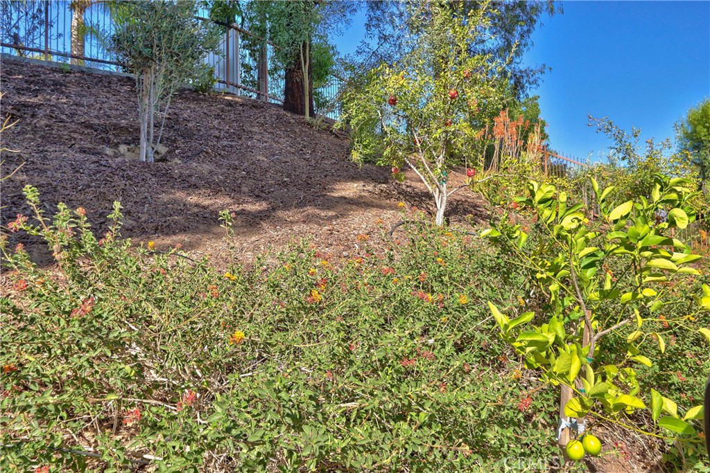 32098 Camino Seneco Property Photo 48