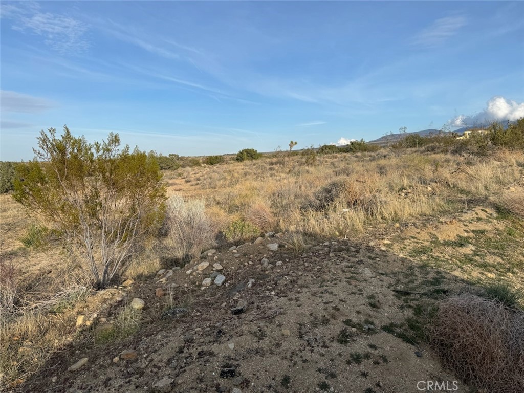 0 Valyermo Property Photo 2