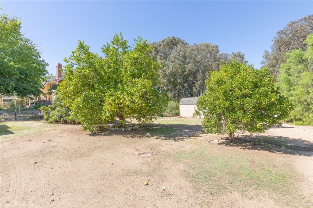 32162 Leslie Street Property Photo 39