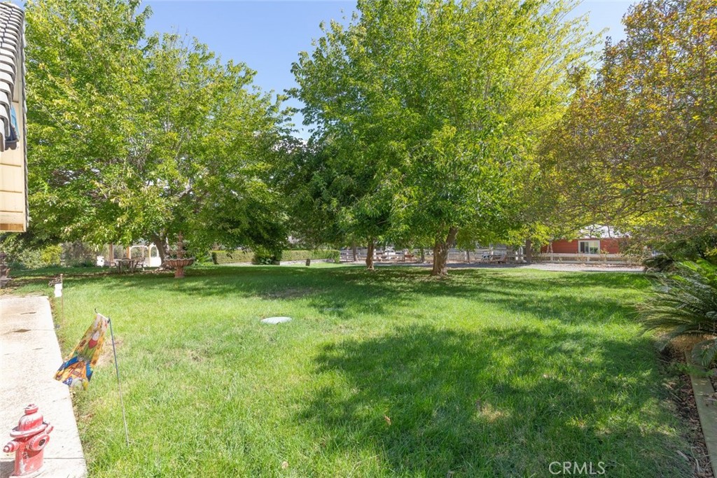 32162 Leslie Street Property Photo 44