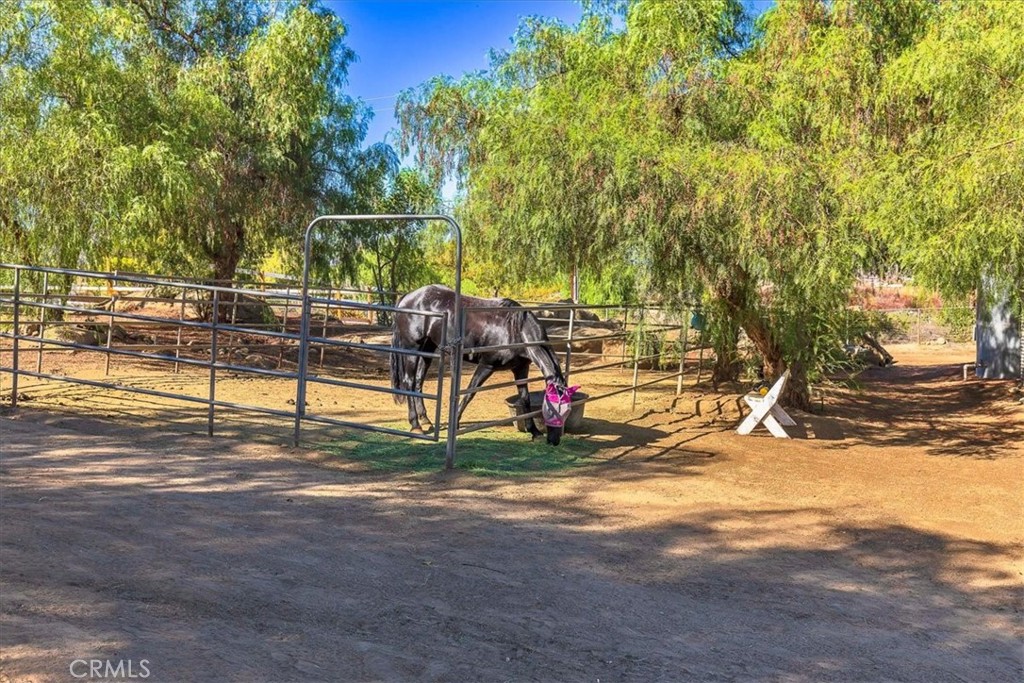 40542 Quiet Hills Property Photo 35