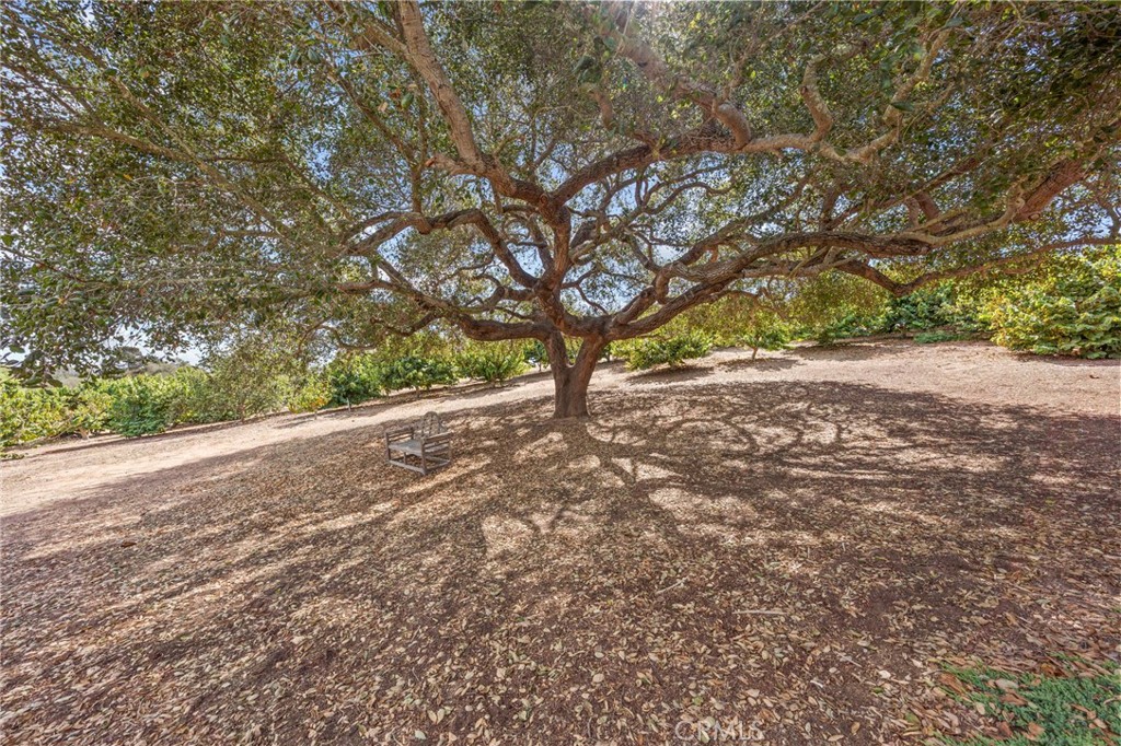 349 Puerta De Lomas Property Photo 45