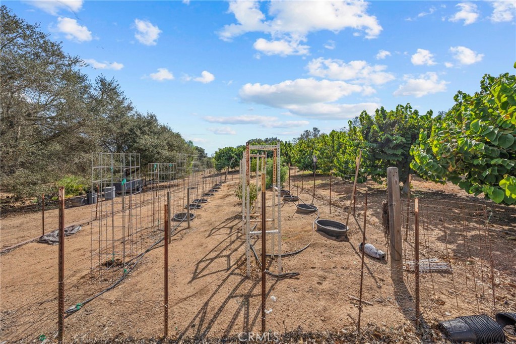 349 Puerta De Lomas Property Photo 46