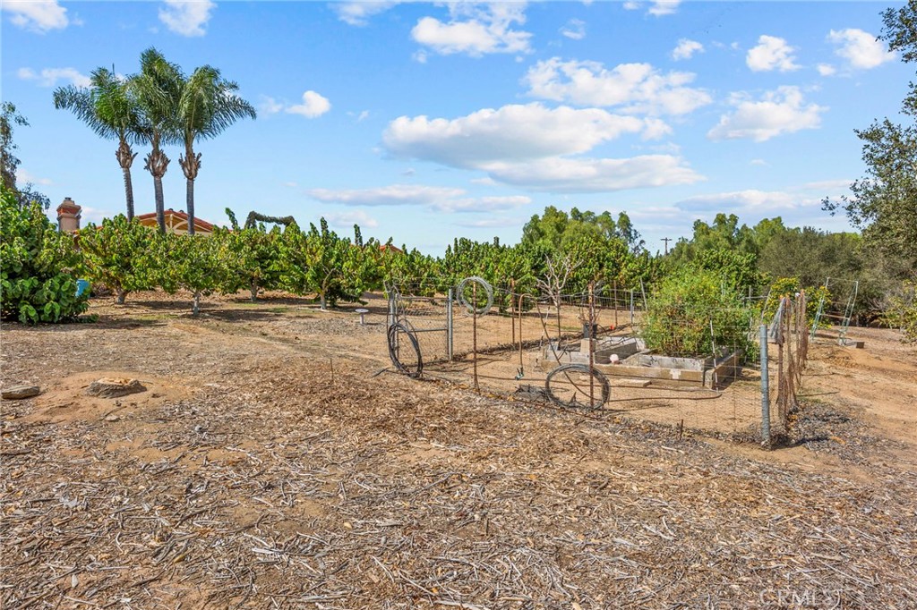 349 Puerta De Lomas Property Photo 47