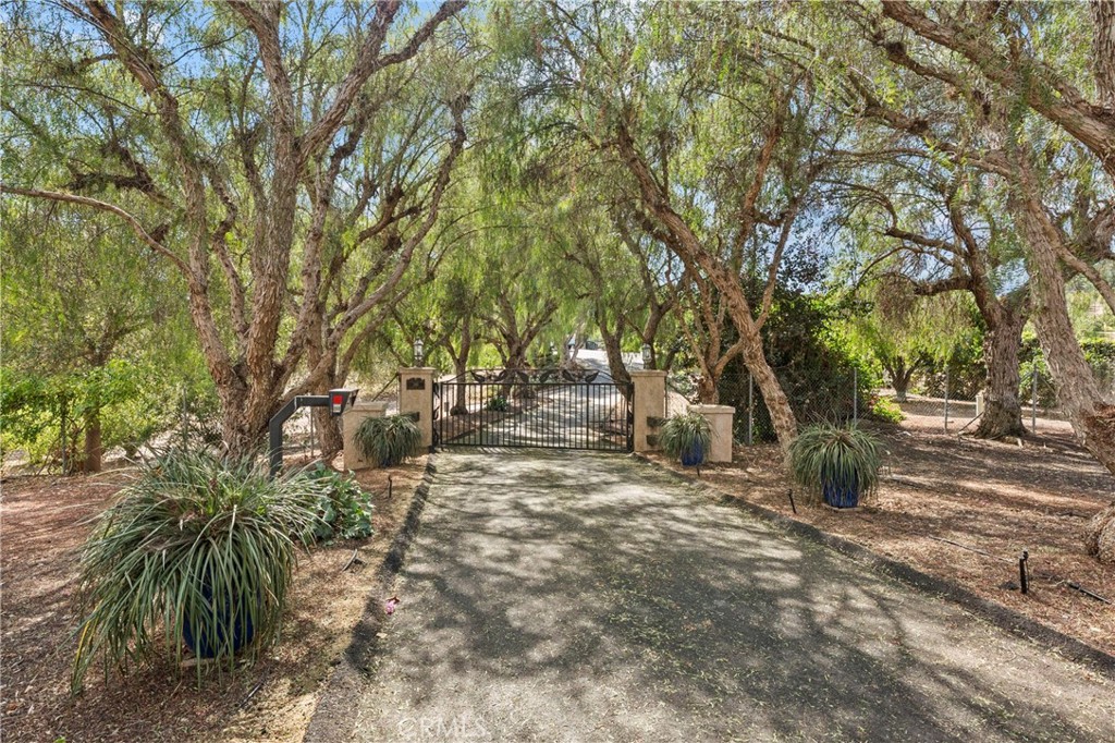 349 Puerta De Lomas Property Photo 48