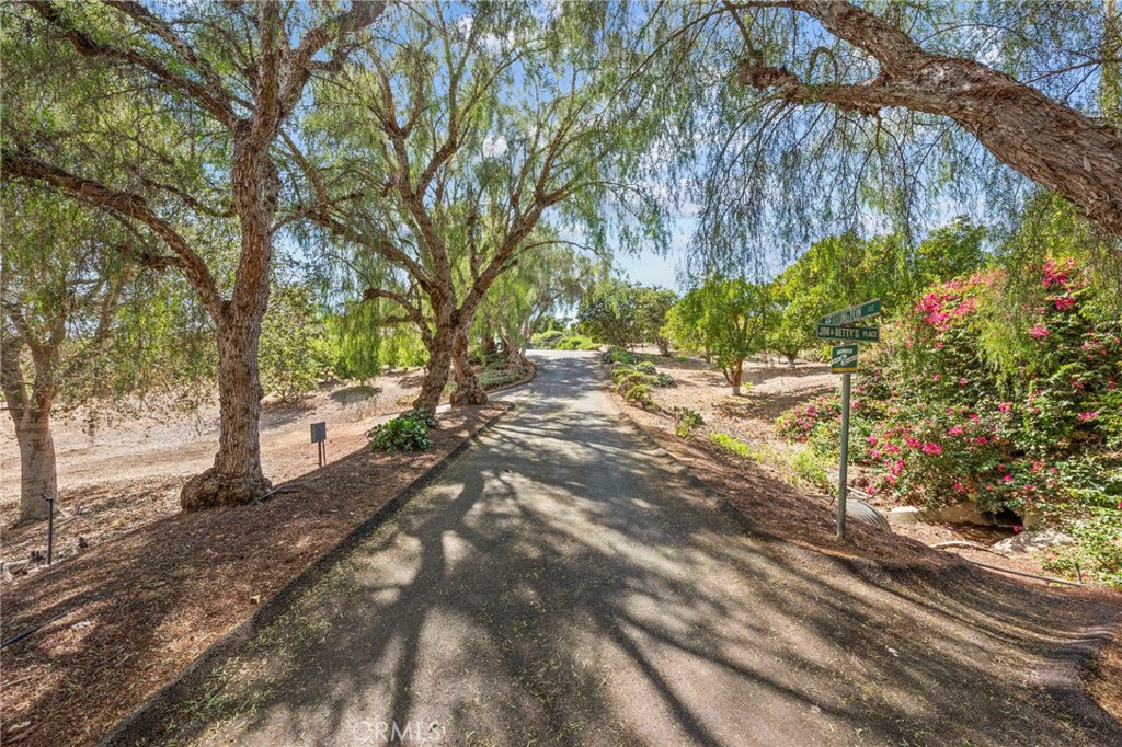 349 Puerta De Lomas Property Photo 49