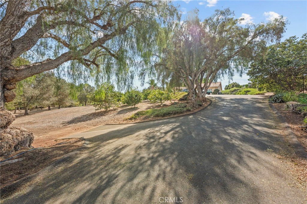 349 Puerta De Lomas Property Photo 50