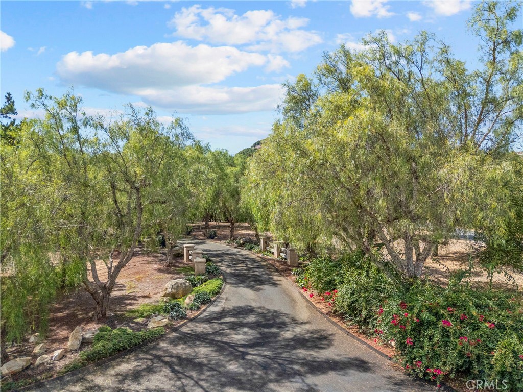 349 Puerta De Lomas Property Photo 51