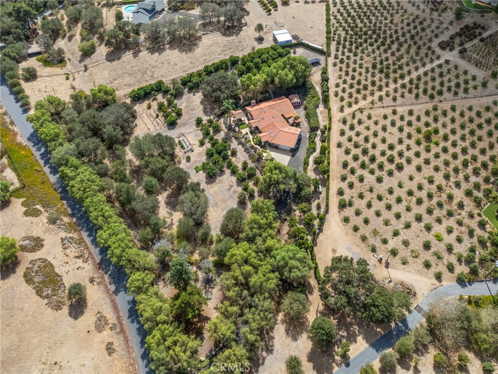 349 Puerta De Lomas Property Photo 59
