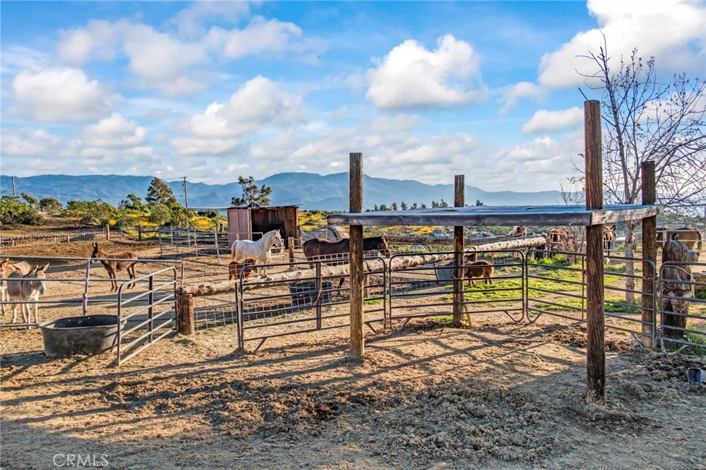 42355 Fresz Road Property Photo 9