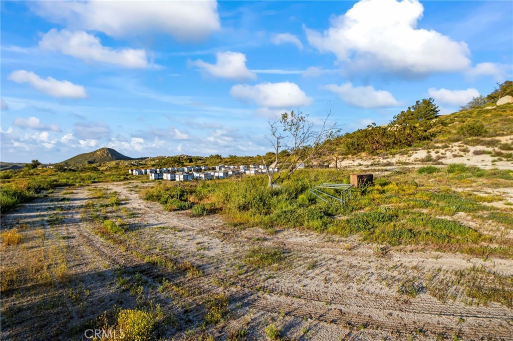 42355 Fresz Road Property Photo 23