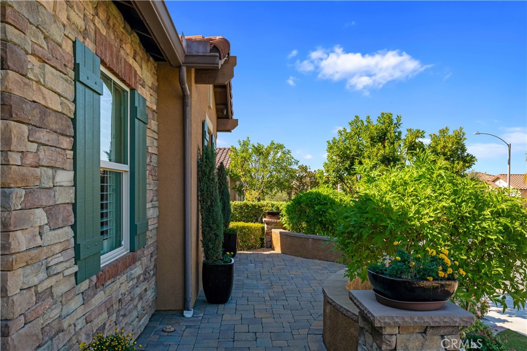 34581 Collier Falls Court Property Photo 10
