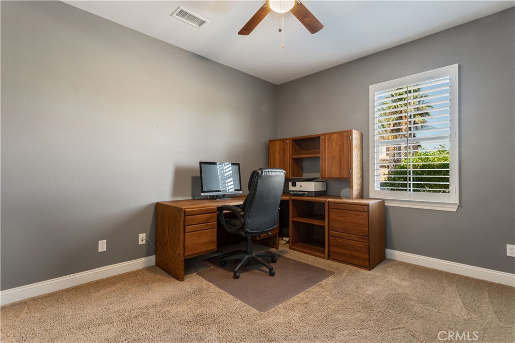 34581 Collier Falls Court Property Photo 27
