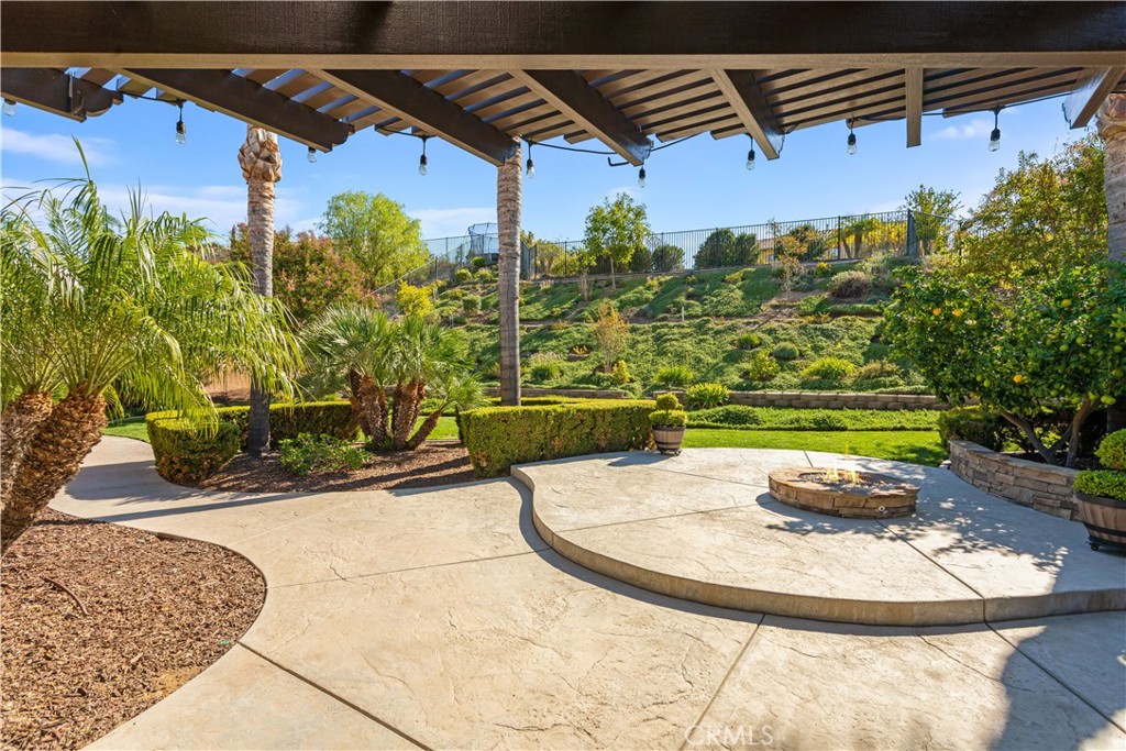 34581 Collier Falls Court Property Photo 43