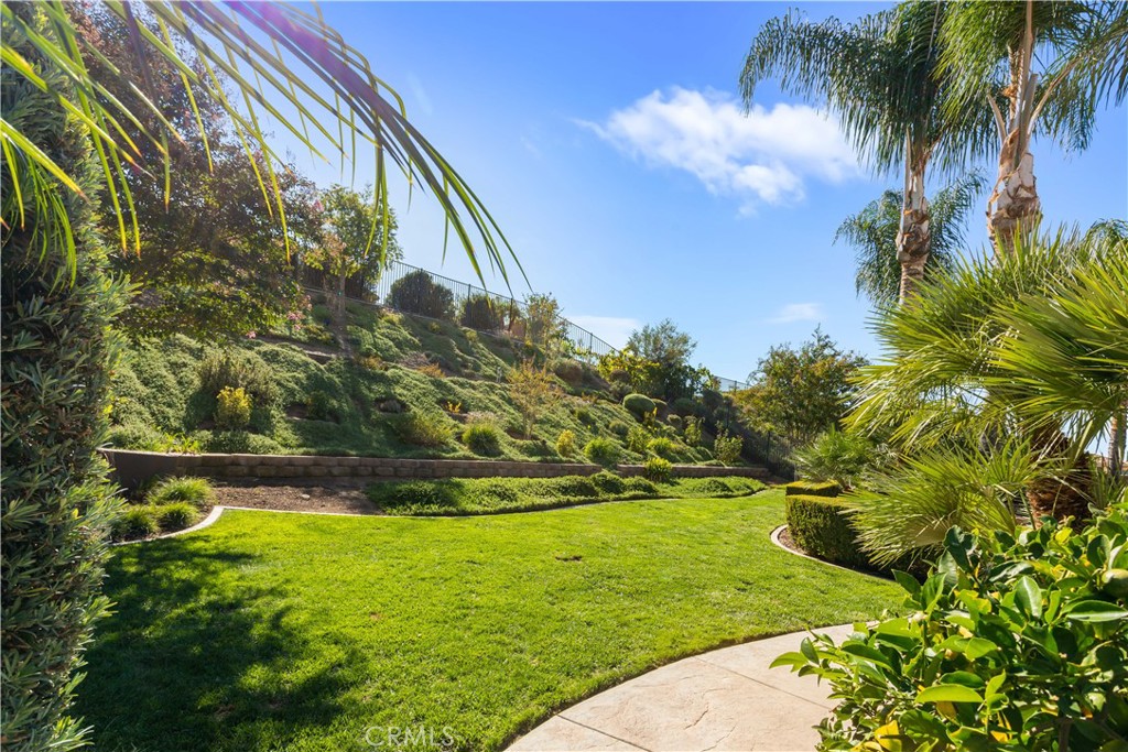 34581 Collier Falls Court Property Photo 44