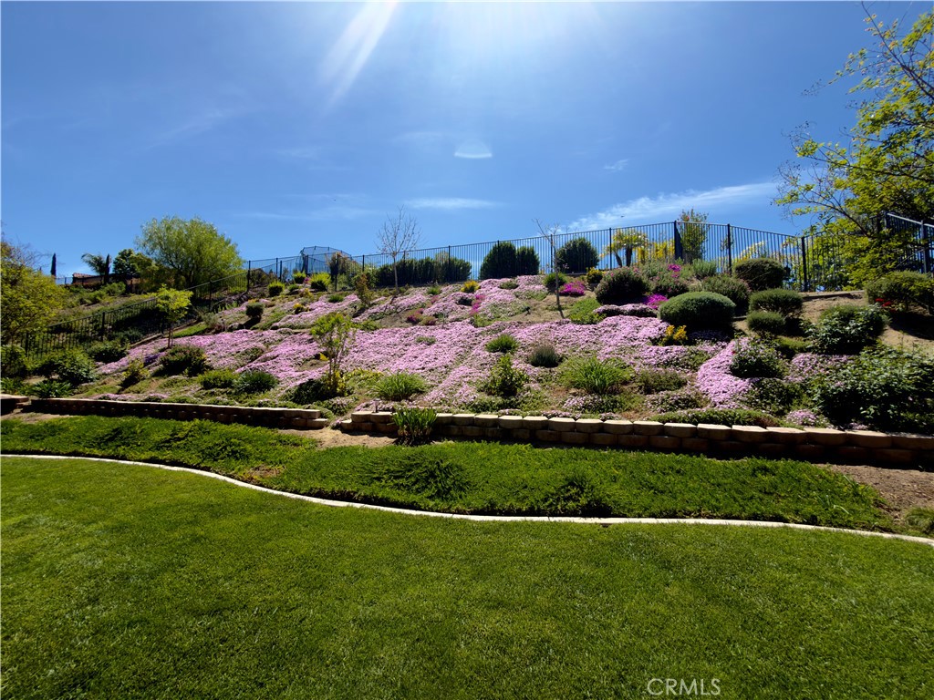 34581 Collier Falls Court Property Photo 46