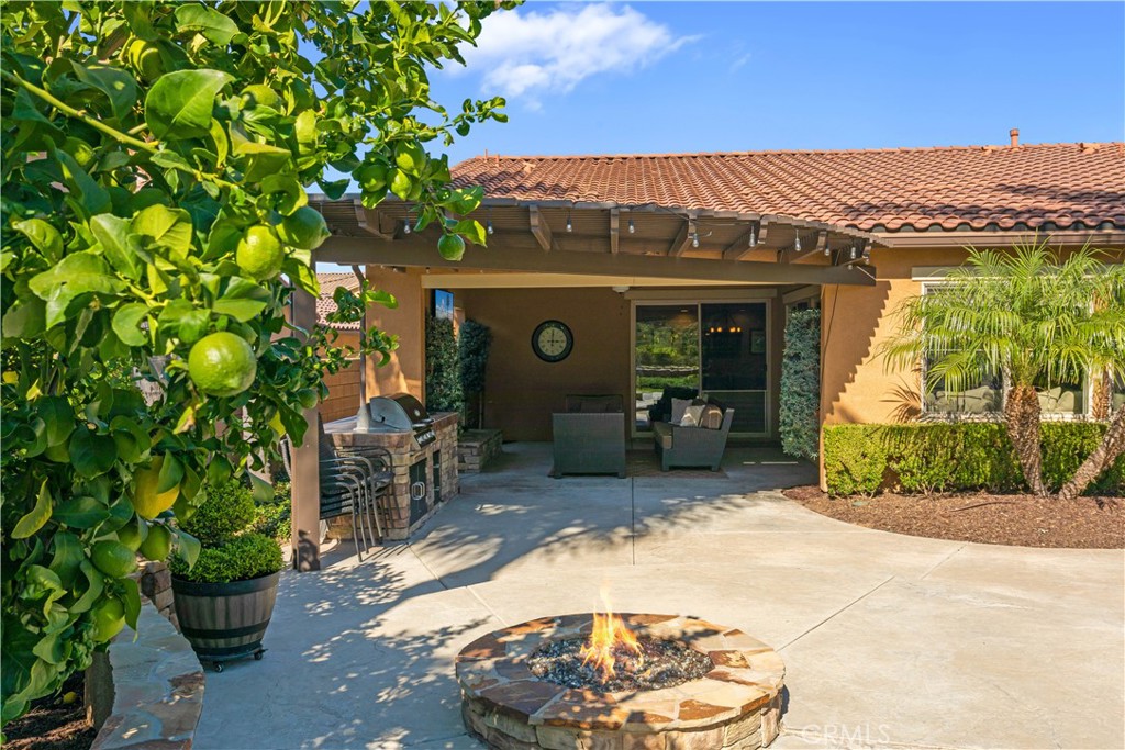34581 Collier Falls Court Property Photo 50