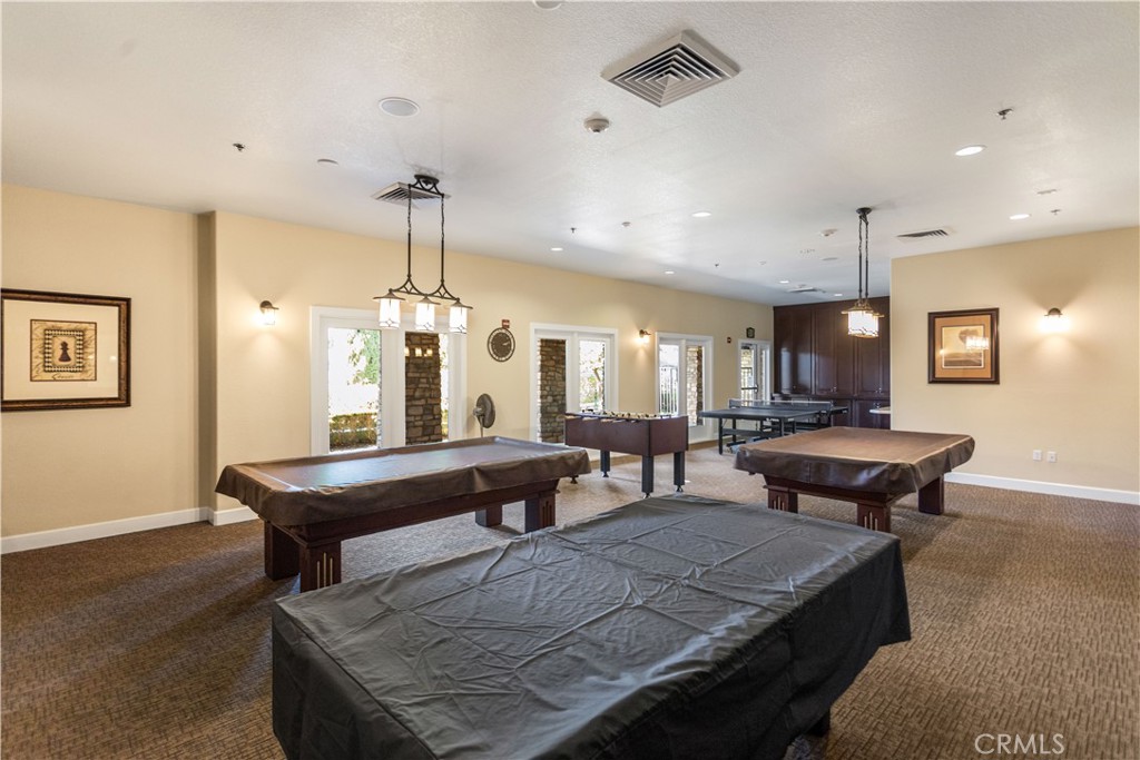 34581 Collier Falls Court Property Photo 59
