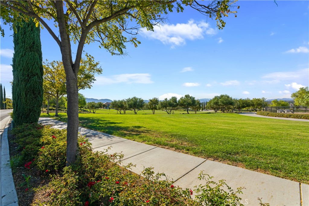 34581 Collier Falls Court Property Photo 65