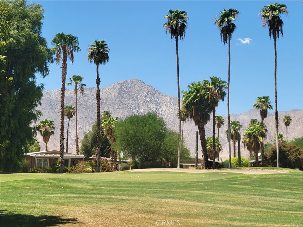1010 Palm Canyon 311 Property Photo 25