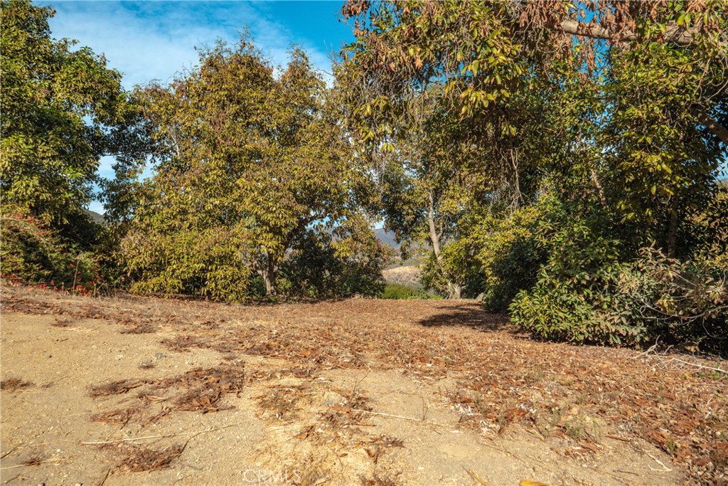 48 Pauma Ridge Road Property Photo 4