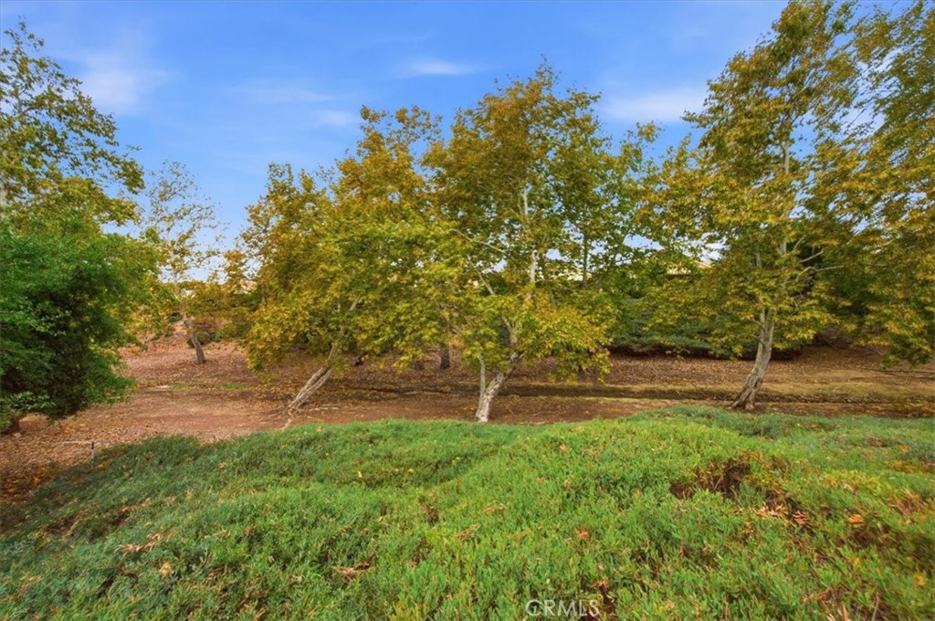 40281 Corte Peralta Property Photo 45