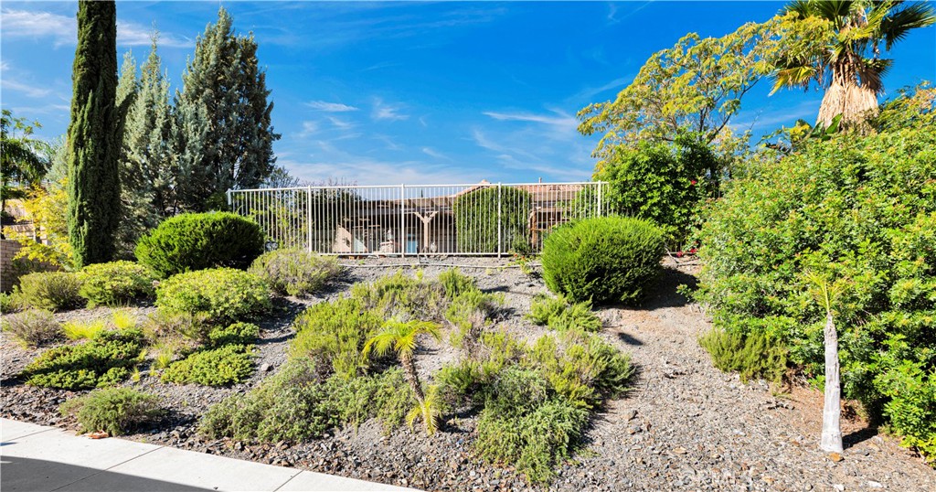 10 Via Palmieki Court Property Photo 33