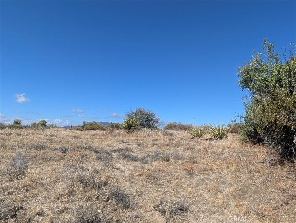 0 Old Forest Road Property Photo 1