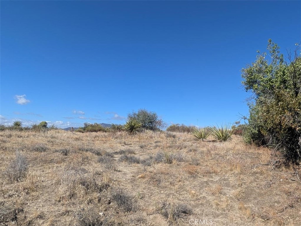 0 Lanik Lane Property Photo 2