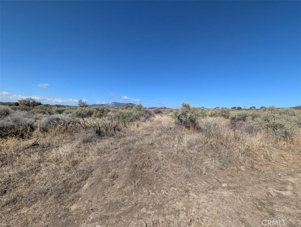 0 Lanik Lane Property Photo 11