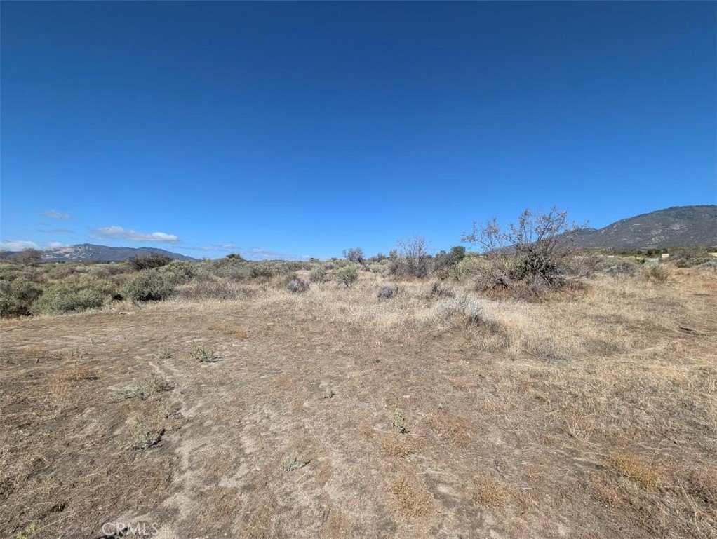 0 Lanik Lane Property Photo 12