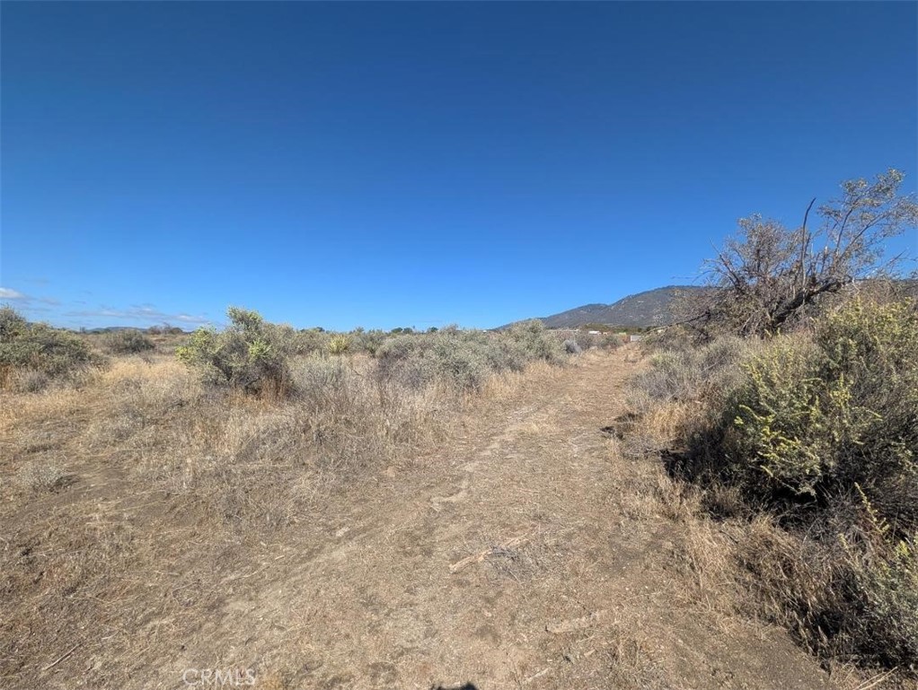 0 Lanik Lane Property Photo 14