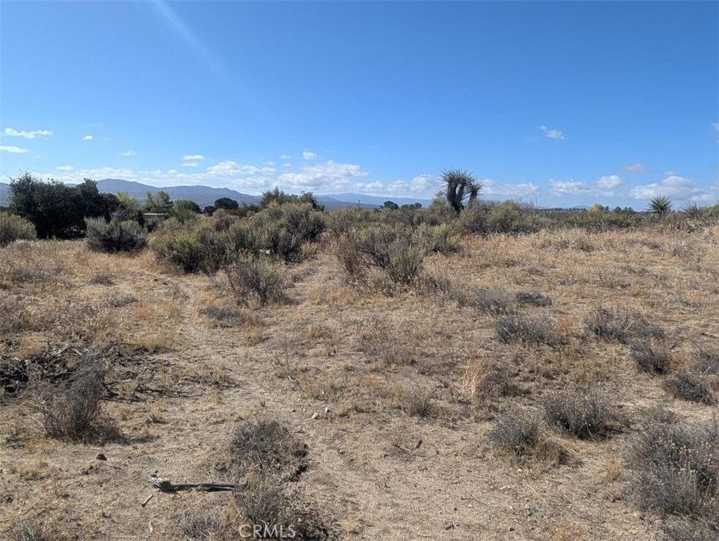 0 Lanik Lane Property Photo 15