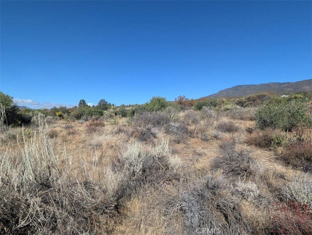 0 Lanik Lane Property Photo 18