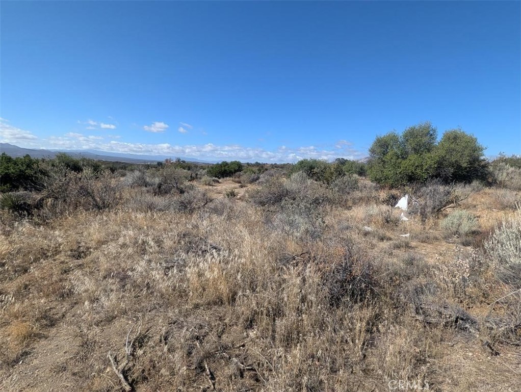 0 Lanik Lane Property Photo 19