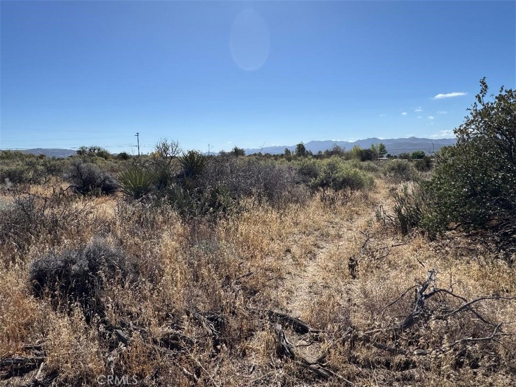 0 Lanik Lane Property Photo 32