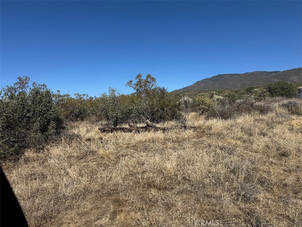 0 Lanik Lane Property Photo 35