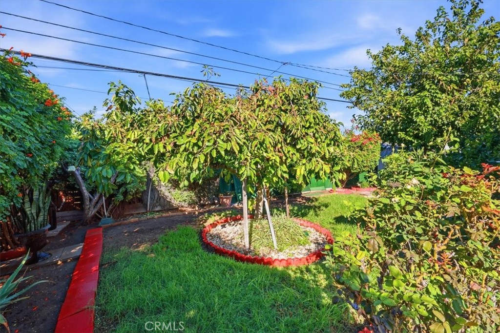 737 Calaveras Property Photo 41