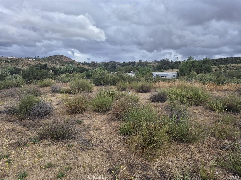 4 Olive Street Property Photo 5