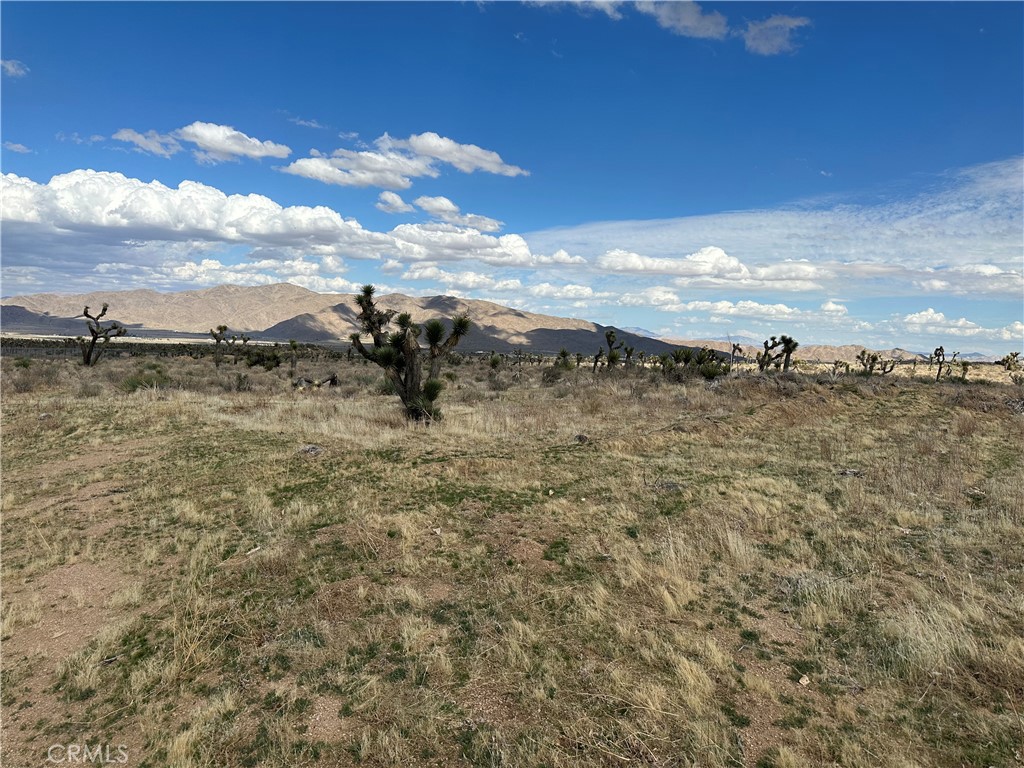 0 Horizon Property Photo 3