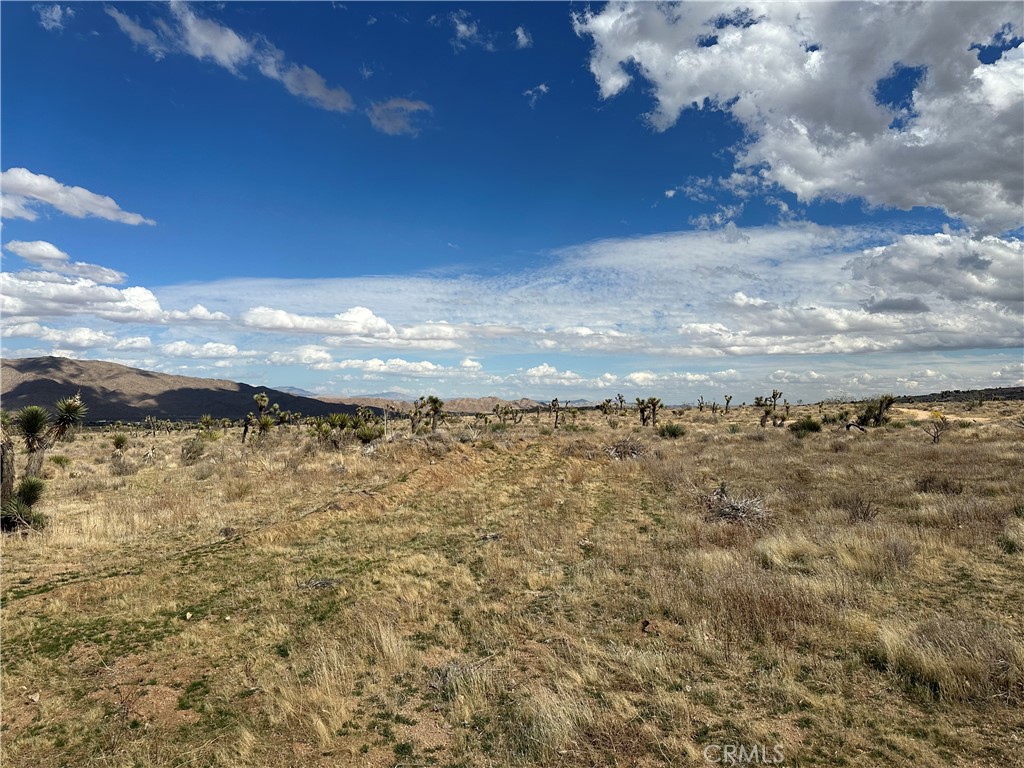 0 Horizon Property Photo 4