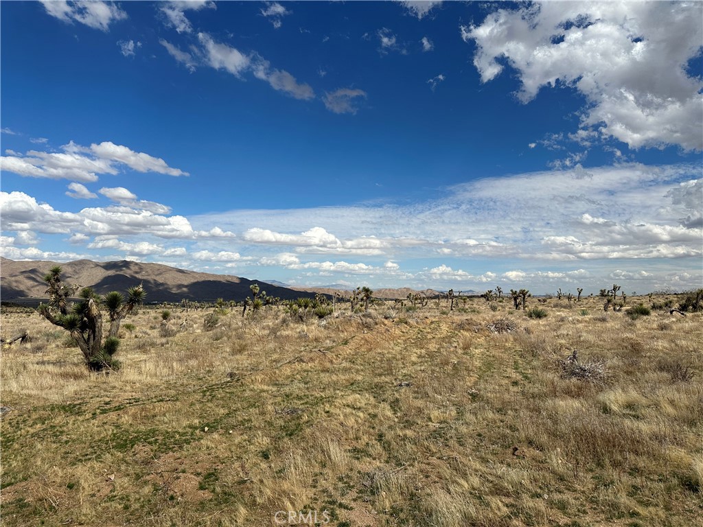 0 Horizon Property Photo 6