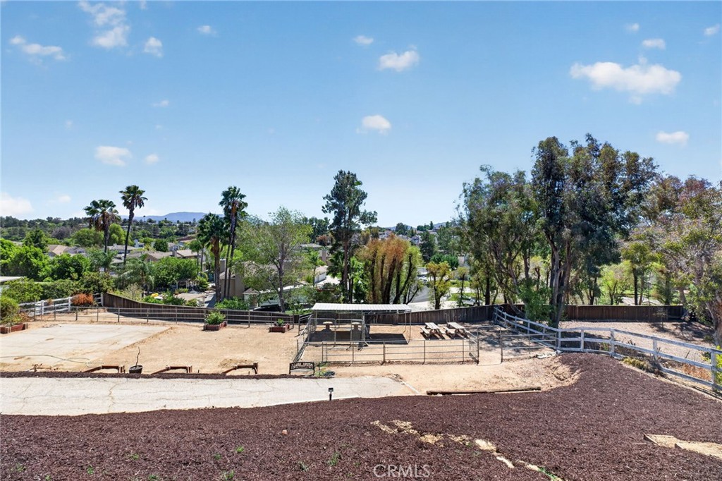 30701 Del Rey Property Photo 59
