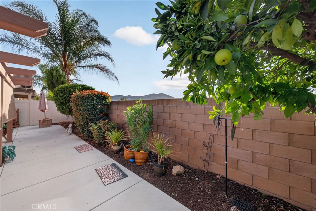 26661 Calle Emiliano Property Photo 27