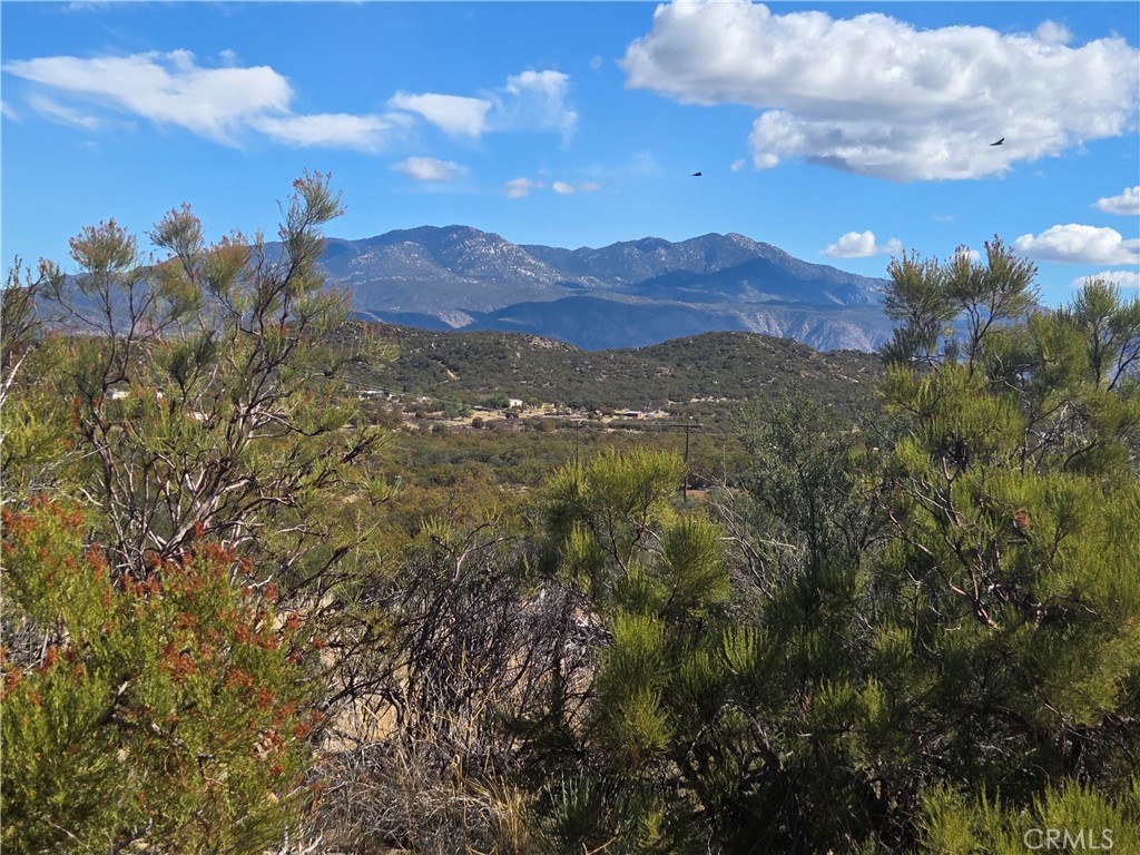 4 Taron Trail Property Photo 1