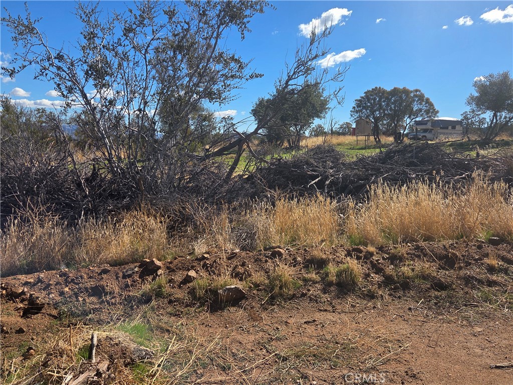 4 Taron Trail Property Photo 4