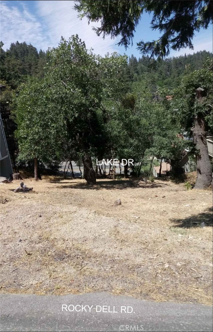 0 Lake Drive Property Photo